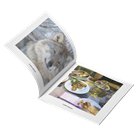 Picture of Photo Book