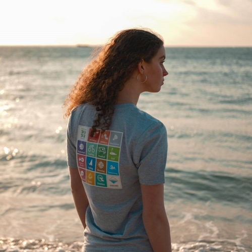 Picture of T Shirt - Grey Sports