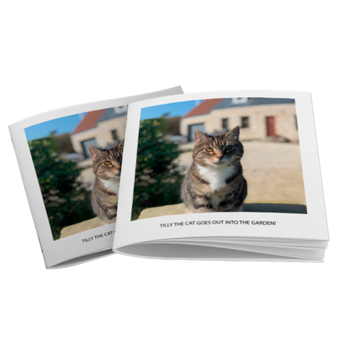 Picture of Photo Book